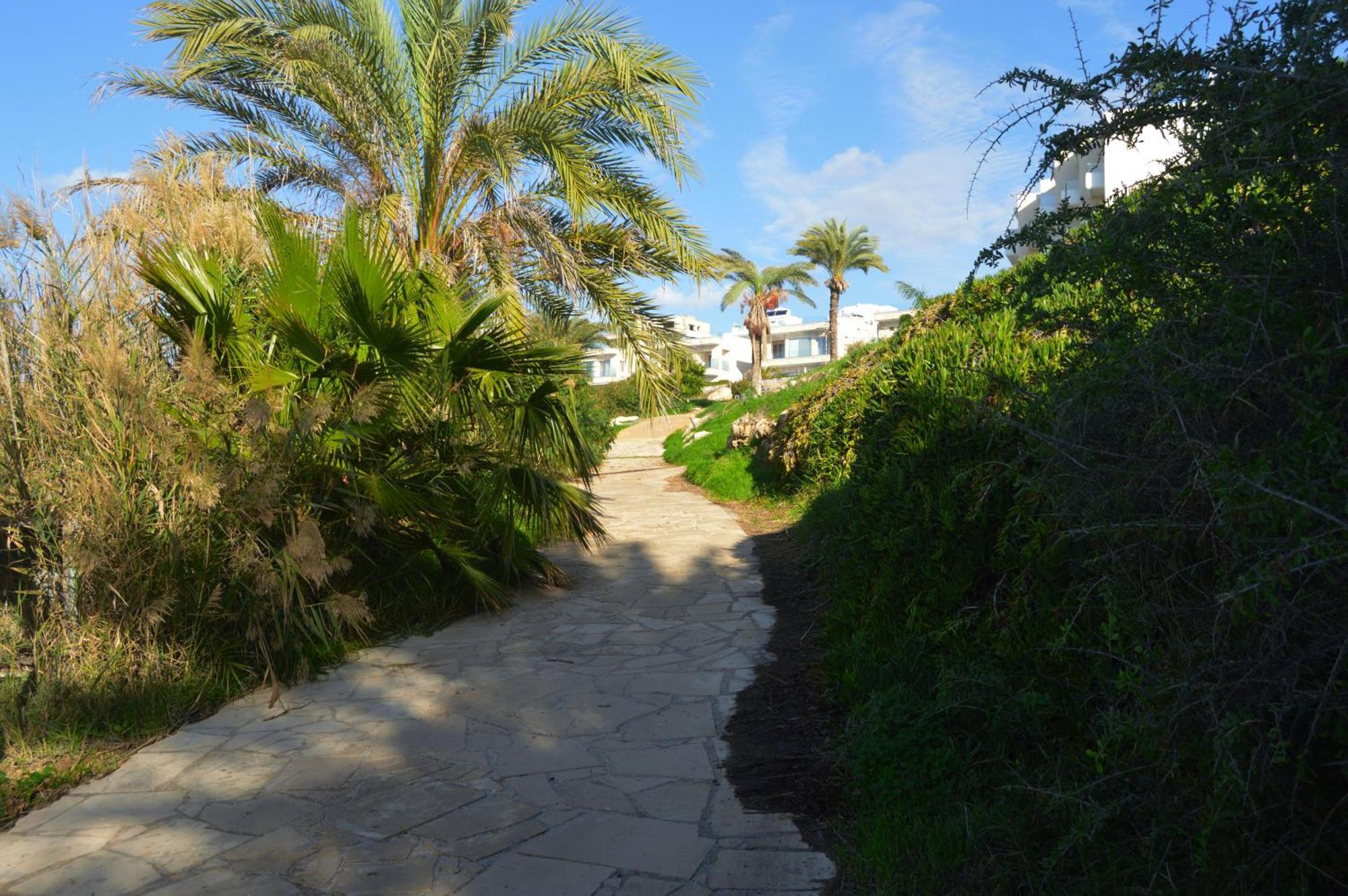 Olymp Luxury Villa D - Luxury Escape With Direct Beach Access And Unique Sunsets Paphos Eksteriør bilde
